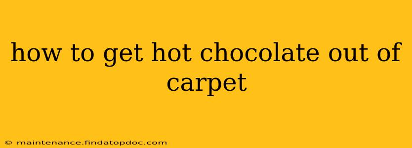 how to get hot chocolate out of carpet