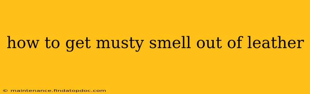 how to get musty smell out of leather
