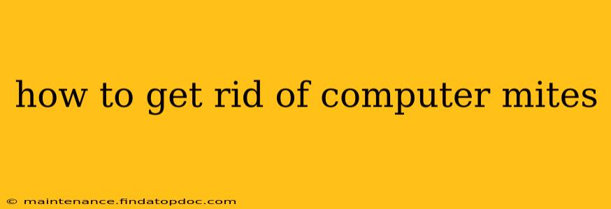 how to get rid of computer mites