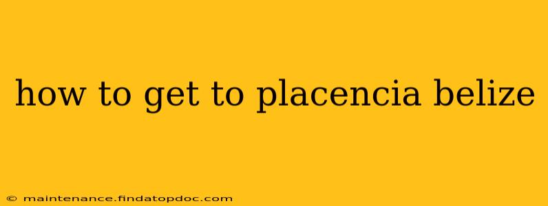 how to get to placencia belize