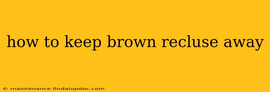 how to keep brown recluse away