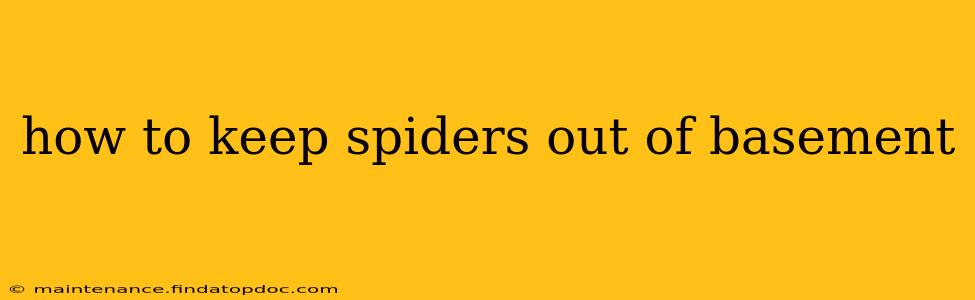how to keep spiders out of basement