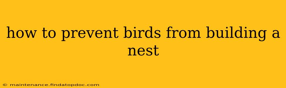 how to prevent birds from building a nest