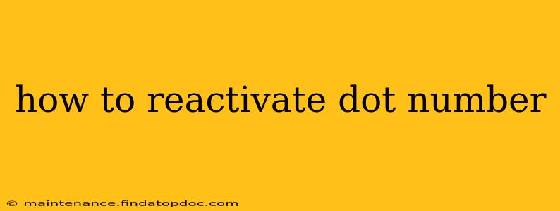 how to reactivate dot number