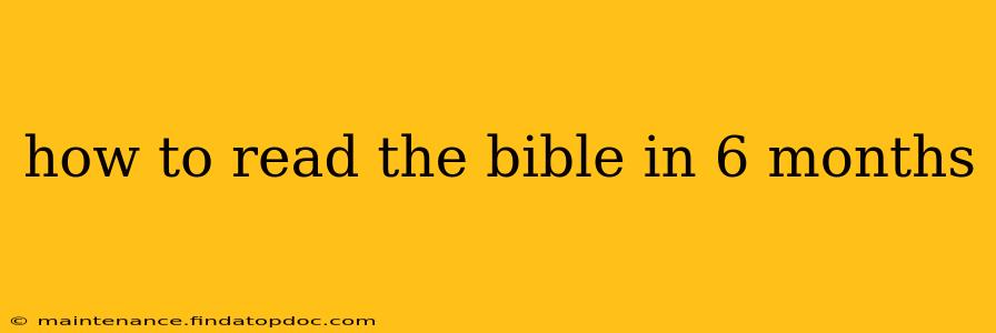 how to read the bible in 6 months