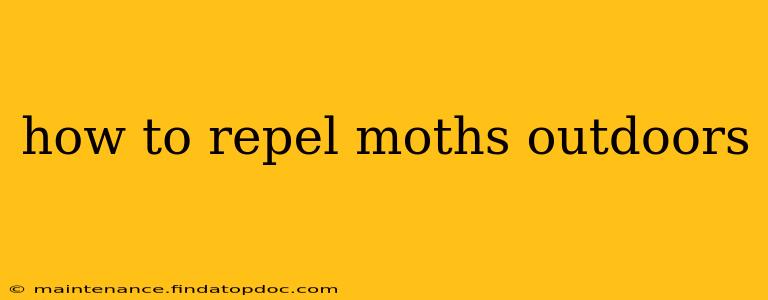how to repel moths outdoors