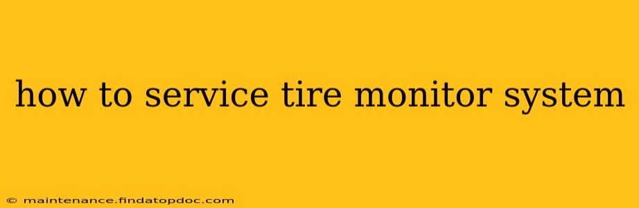how to service tire monitor system