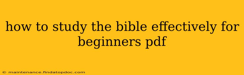 how to study the bible effectively for beginners pdf