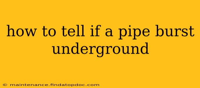 how to tell if a pipe burst underground