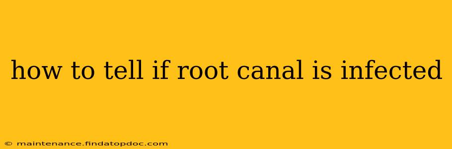 how to tell if root canal is infected