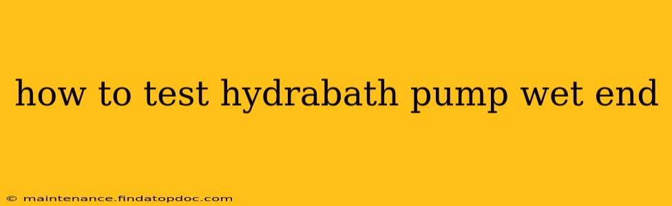 how to test hydrabath pump wet end