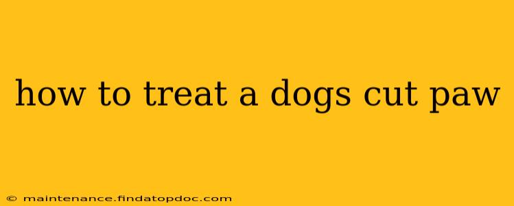 how to treat a dogs cut paw