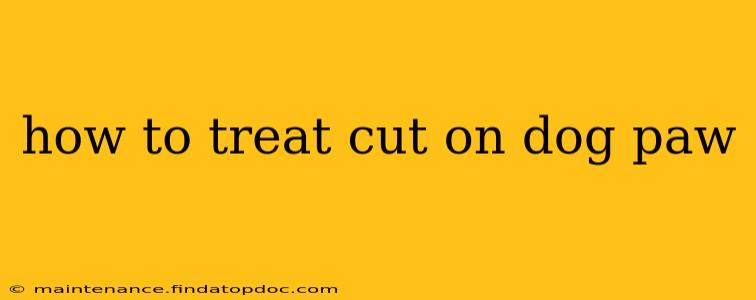 how to treat cut on dog paw