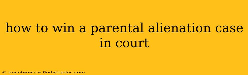 how to win a parental alienation case in court