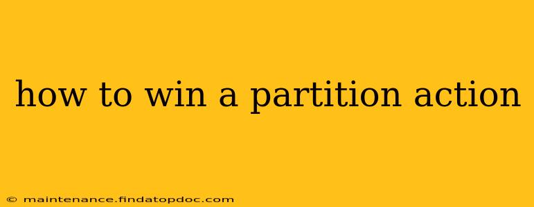 how to win a partition action