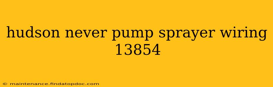 hudson never pump sprayer wiring 13854