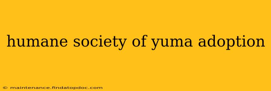 humane society of yuma adoption