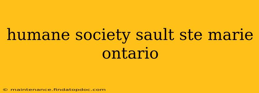 humane society sault ste marie ontario