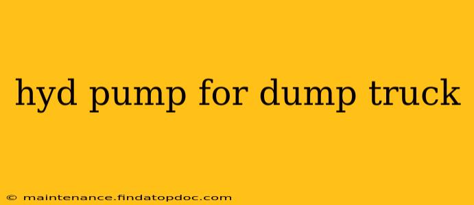 hyd pump for dump truck