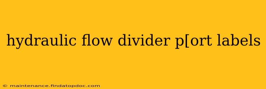hydraulic flow divider p[ort labels