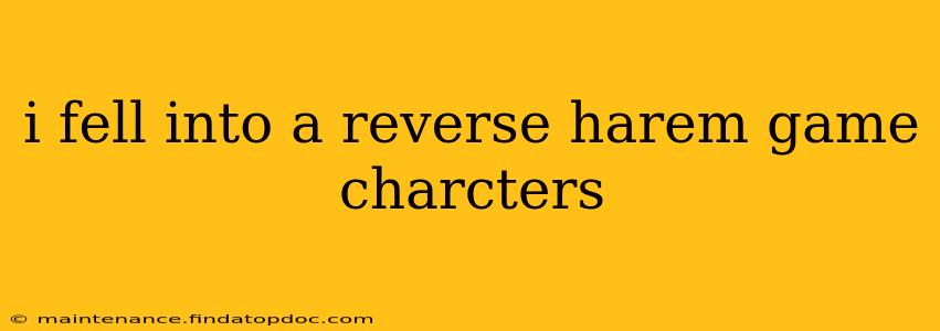 i fell into a reverse harem game charcters