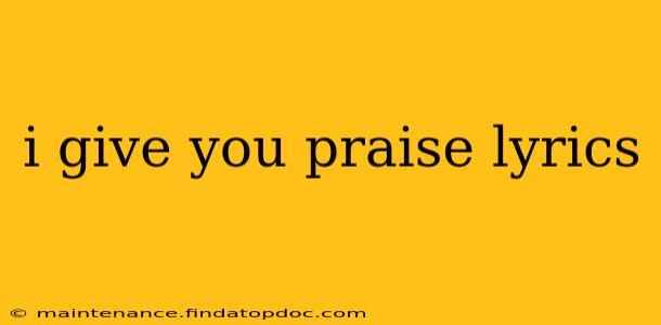i give you praise lyrics