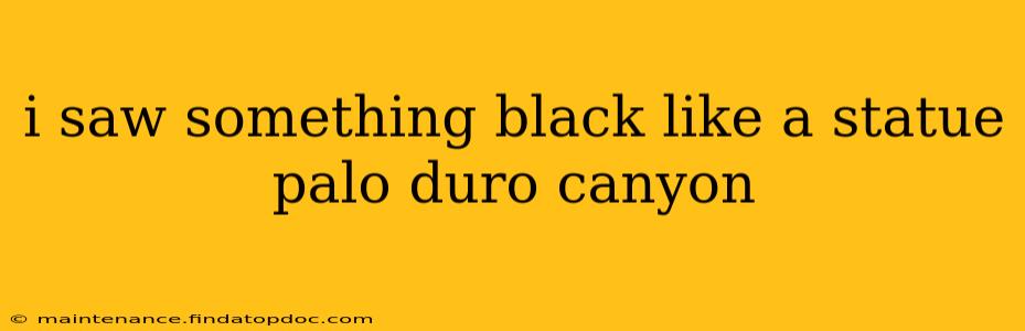 i saw something black like a statue palo duro canyon