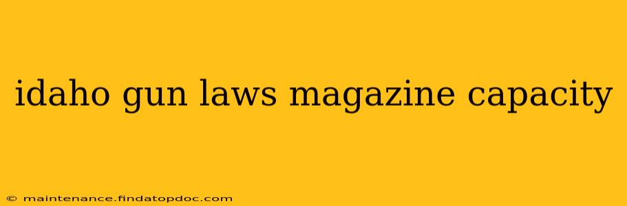 idaho gun laws magazine capacity