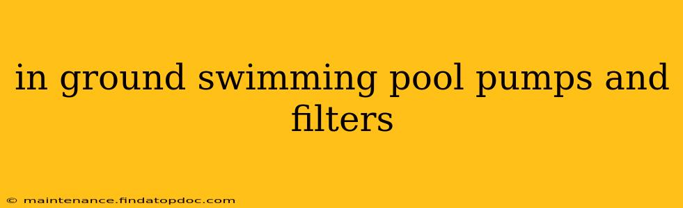 in ground swimming pool pumps and filters
