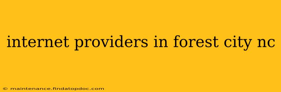 internet providers in forest city nc