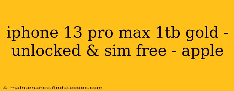 iphone 13 pro max 1tb gold - unlocked & sim free - apple