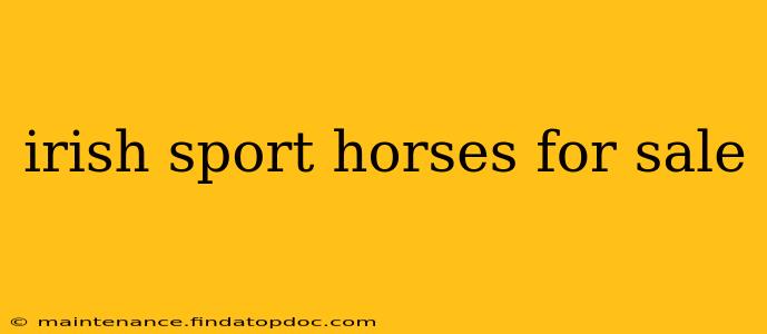 irish sport horses for sale
