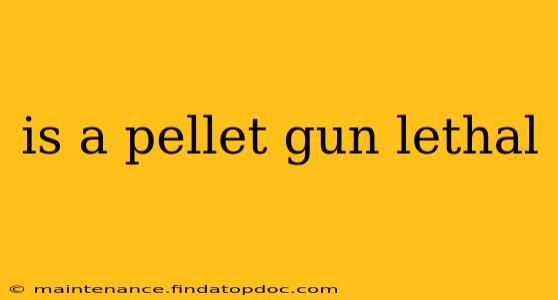 is a pellet gun lethal