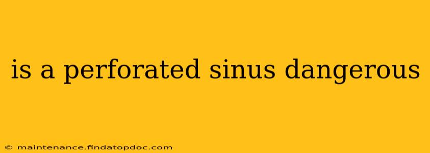 is a perforated sinus dangerous