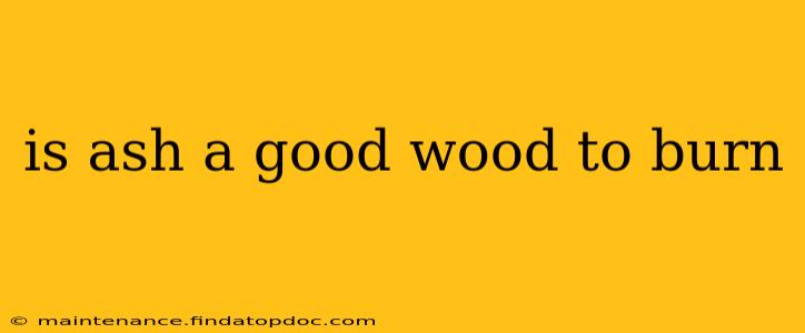 is ash a good wood to burn