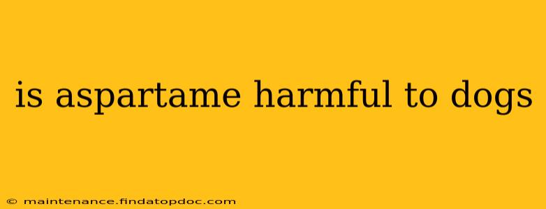 is aspartame harmful to dogs
