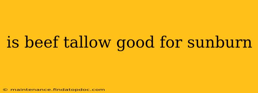 is beef tallow good for sunburn