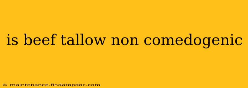 is beef tallow non comedogenic