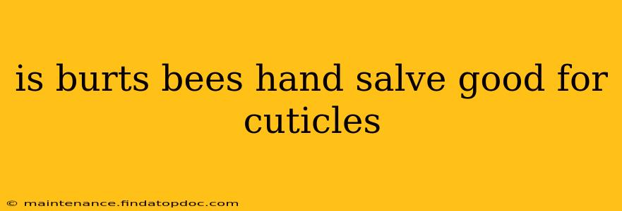 is burts bees hand salve good for cuticles