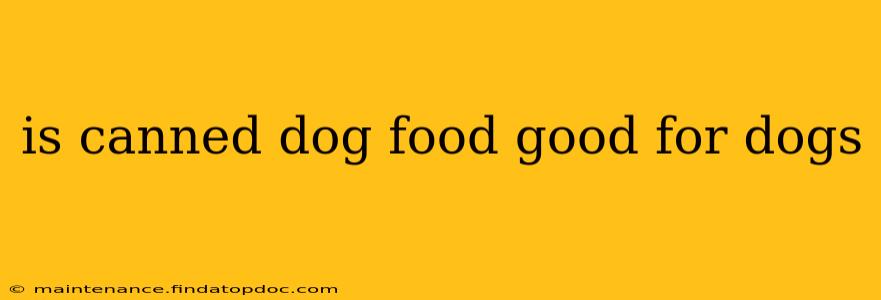 is canned dog food good for dogs