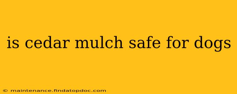 is cedar mulch safe for dogs