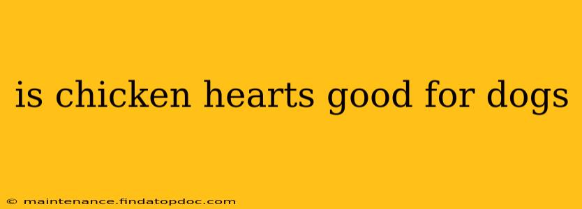 is chicken hearts good for dogs