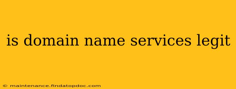 is domain name services legit