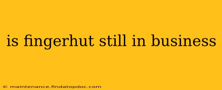 is fingerhut still in business