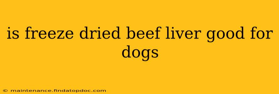 is freeze dried beef liver good for dogs