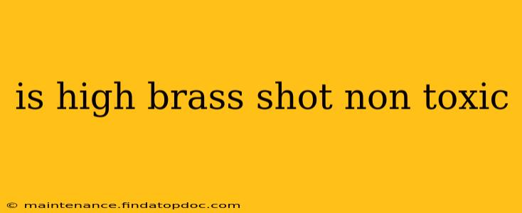 is high brass shot non toxic