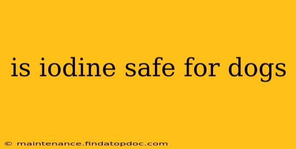 is iodine safe for dogs