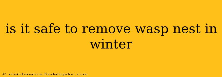 is it safe to remove wasp nest in winter