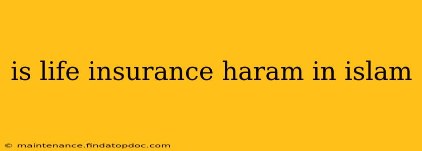 is life insurance haram in islam