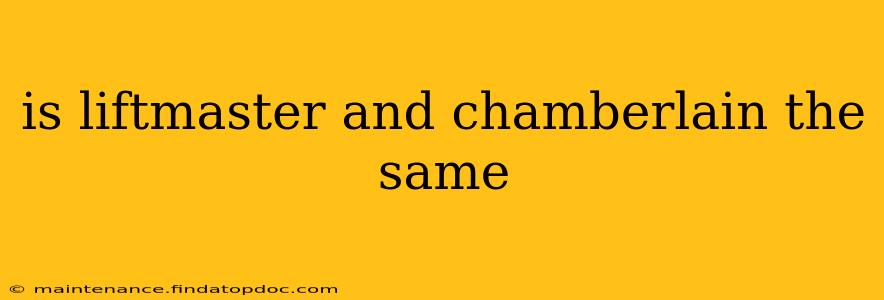 is liftmaster and chamberlain the same
